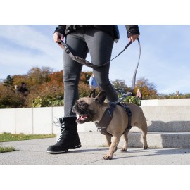 Dog Copenhagen Comfort Walk Pro™ traksid
