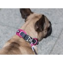 Dog Copenhagen Urban Explorer™ collar