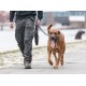 Dog Copenhagen Urban Trail™ jalutusrihm