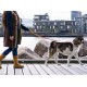 Dog Copenhagen Urban Freestyle™ jalutusrihm