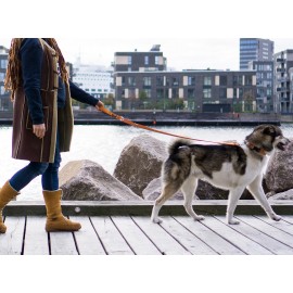 Dog Copenhagen Urban Freestyle™ Leash
