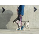 Dog Copenhagen Comfort Walk Air™ traksid