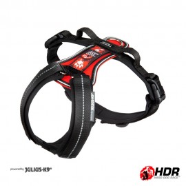JULIUS-K9 ® Hard Dog Race traksid