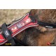 JULIUS-K9 ® Hard Dog Race dog harness