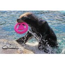 Kiwi Walker Kiwi Let’s Play! Frisbee