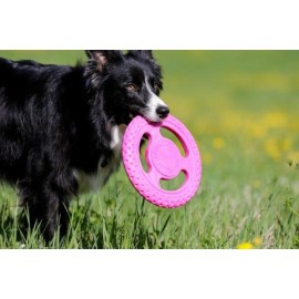 Kiwi Walker Let’s Play! Frisbee