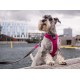 Dog Copenhagen Comfort Walk Pro™ traksid Mudel 2020