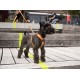 Dog Copenhagen Comfort Walk Air™ traksid Mudel 2020