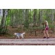 Amortisaatoriga bungee jalutusrihm sobib nii jalutamiseks, matkamiseks kui koerakrossi jooksmiseks