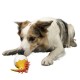 Kiwi Walker Whistle Kiwi Baby piiksuv mänguasi koerale