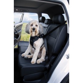 Koerte turvatraksid Dogmaster pakuvad autosalongis reisivale koerale maksimaalset turvalisust.