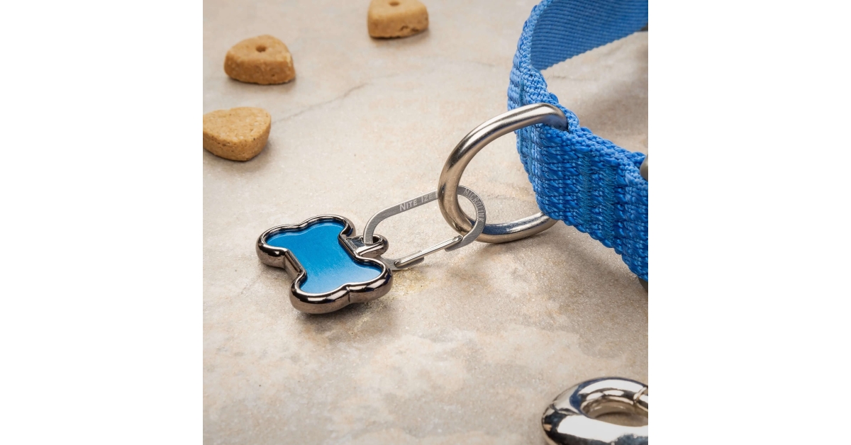  Nite Ize MicroLink Pet Tag Carabiner, Stainless Steel Cat and  Dog Tag Clip, 2 Pack : Pet Supplies