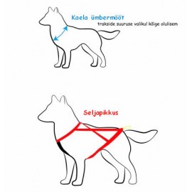 Neewa reguleeritava suurusega veotraksid - koera mõõtmisjuhend