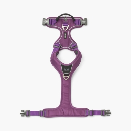 Comfort Walk Pro™ harness