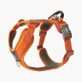 Comfort Walk Pro™ harness