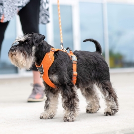 Comfort Walk Pro™ harness