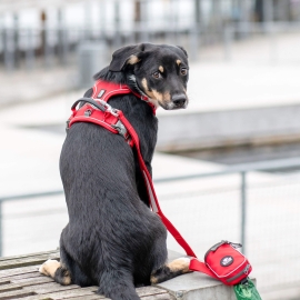 Comfort Walk Pro™ harness