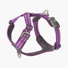 Dog Copenhagen Comfort Walk Air™ Harness