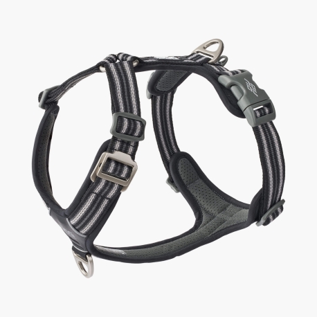 Dog Copenhagen Comfort Walk Air™ Harness