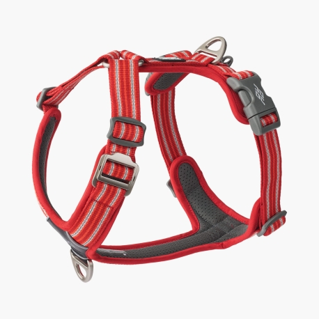 Dog Copenhagen Comfort Walk Air™ Harness