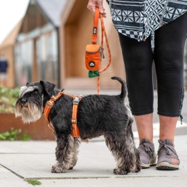 Dog Copenhagen Comfort Walk Air™ Harness