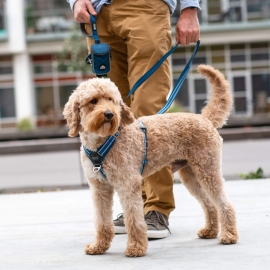 Dog Copenhagen Comfort Walk Air™ Harness