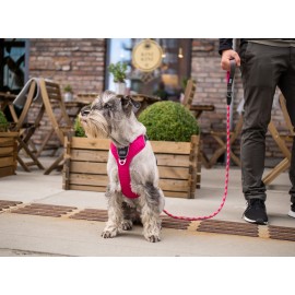 Dog Copenhagen Urban Rope™ Leash