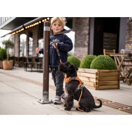 Dog Copenhagen Urban Rope™ jalutusrihm Mudel 2020