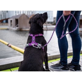 Dog Copenhagen Urban Rope™ jalutusrihm Mudel 2020