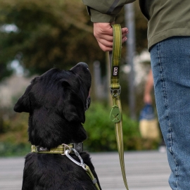 Dog Copenhagen Urban Freestyle™ Leash