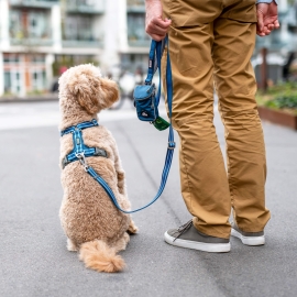 Dog Copenhagen Urban Freestyle™ Leash