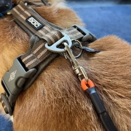 Peenike jäljerihm koertele.