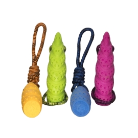 Kiwi Walker Let's play! Seashell