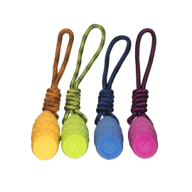 Kiw Walker Let's play! Seashell