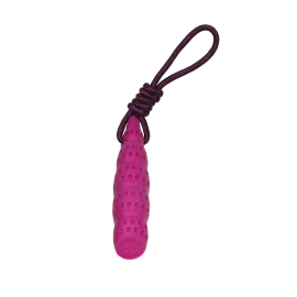 Kiwi Walker Let's play! Seashell