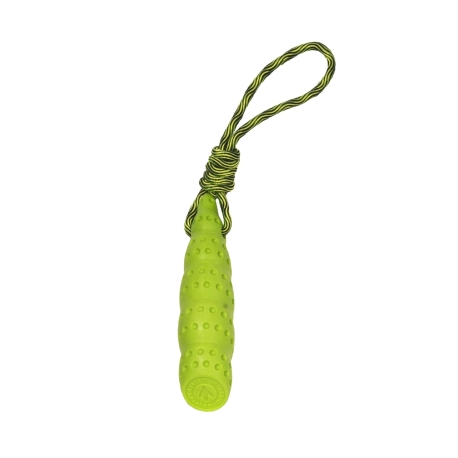 Kiw Walker Let's play! Seashell