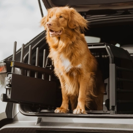 A crate for transporting medium-sized dogs in cars with a high luggage-compartment threshold and hatchbacks.