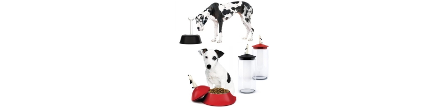 Dog bowls and water bottles