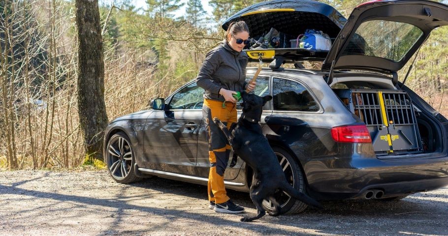 Safe transportation box for your dog